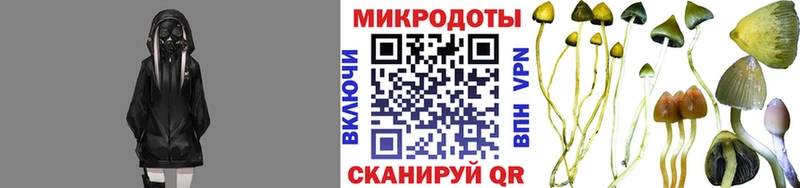 shop клад  Асбест  Псилоцибиновые грибы Cubensis 